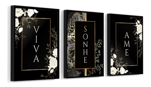 3 Quadros Premium 30x40 Moldura Viva Ame Sonhe Sucesso 01