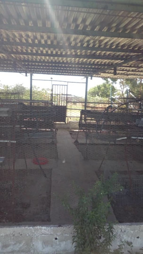 Imagen 7 de 9 de Venta De Finca En Santa Cruz De Aragua. Via El Guaril