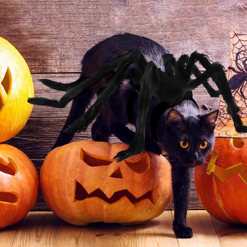 Disfraz De Araña Para Mascotas Disfraz De Araña Para Gatos R
