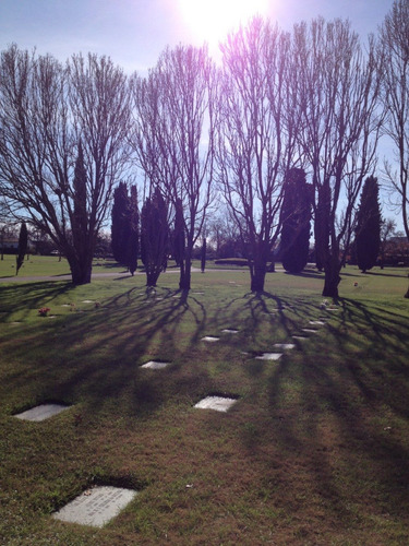 Imagen 6 de 7 de Parcela En Cementerio Parque Memorial