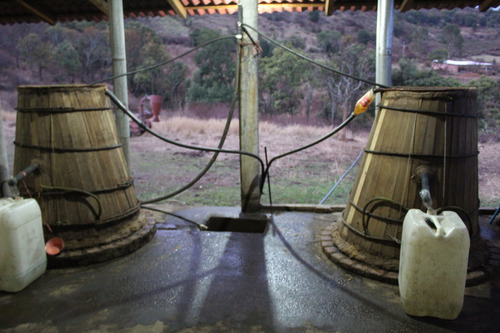 Mezcal La Pasión De Alondra