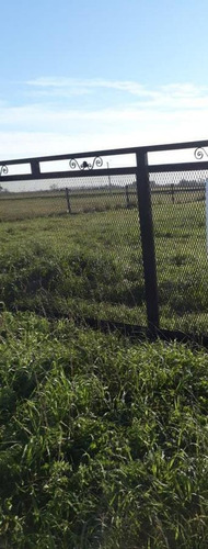 Imagen 3 de 7 de Terreno - Ibarlucea