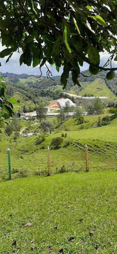 Imagen 10 de 28 de Hermosa Finca En Venta Marinilla