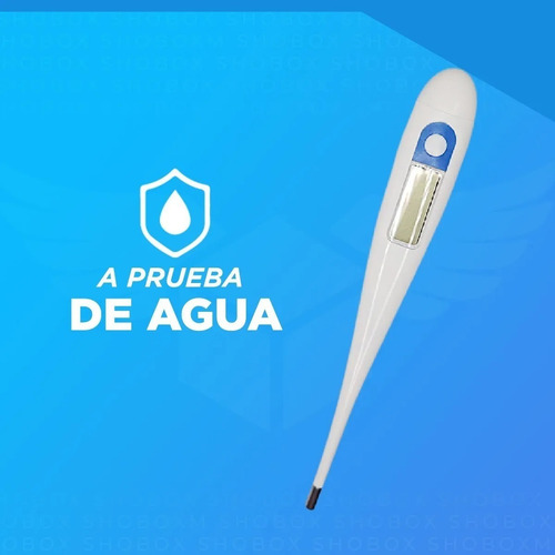 Termometro Digital Clinico C/ Alarma De Alerta Estuche Pilas