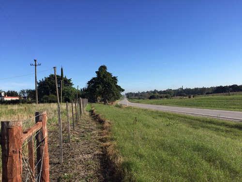 Imagen 6 de 6 de Campo Sobre Ruta 21 Excelente Coneat