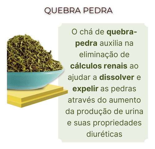 Chá Obba Natureba Oficial2n Quebra Pedra Em Ervas 200 G Pacote X 20