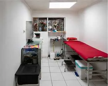 Imagen 3 de 9 de ¡no Dejes Pasar Esta Casa En Calama! 4d + 3b (174973)