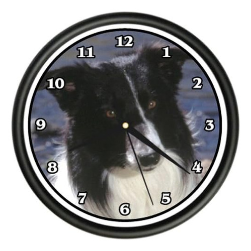 Border Collie Reloj De Pared Perro Perrito Raza De Mascota R