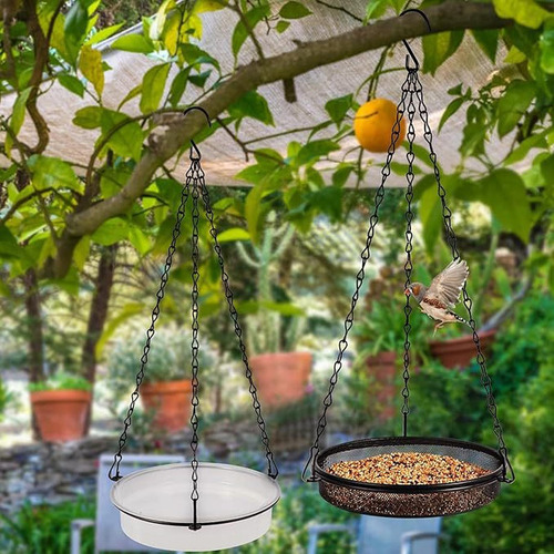 Alimentador De Pájaros Colgantes Camfesco De Aves Ideal