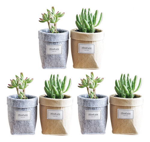 Bolsa Para Cultivar Plantas, 6 Unidades, Nueva Decoración De