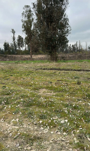 Inversión Ideal En Entorno Natural (134874)