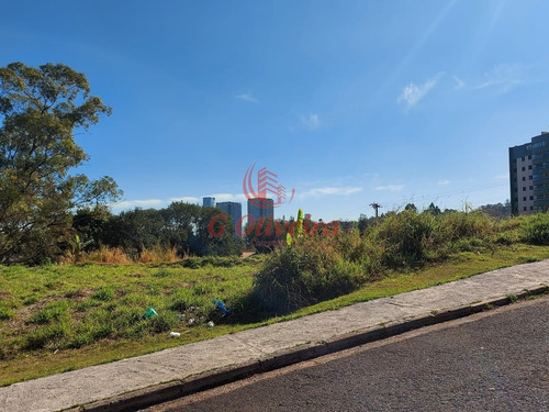 Imagem 6 de 10 de Terreno Jundiai Jardim Paulista Ii 350m2 Pronto Para Construir - Te00276 - 70244687