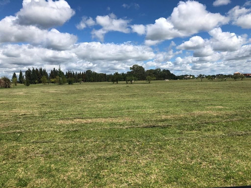 Imagen 3 de 12 de Lote En Venta - Country Club La Providencia N° 381 - Lakes 2