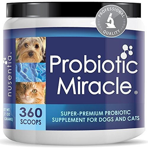 Probióticos Probiotic Miracle Dog De Nusentia Para Perros De