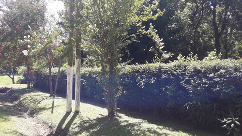 Imagen 2 de 5 de Dueño Vende 1000 M2