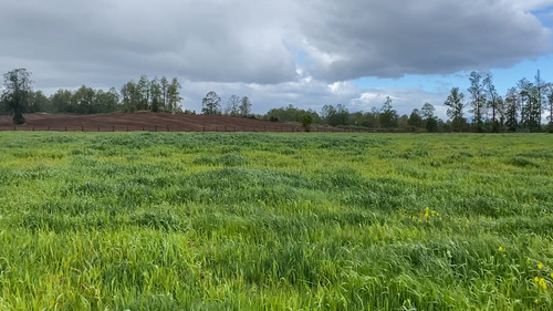 Campo En La Unión Cercano Al Lago Ranco 27,4 Hectáreas