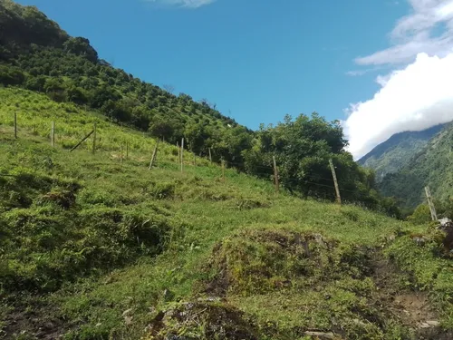 Finca Via Juntas - Ibagué