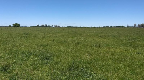 Imagen 11 de 16 de Campo Mixto De 280 Has En Venta Con Inmejorable Acceso Sobre Asfalto En Ranchos - Oportunidad !