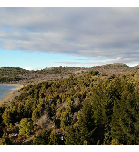 Campo De 8 Hectáreas - Costa Lago Lezama - Cholila