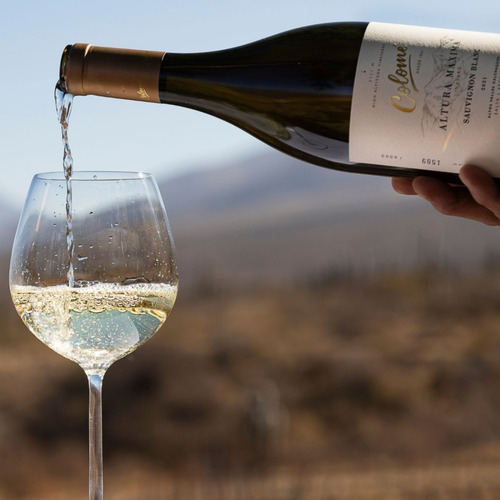 Imagen 3 de 10 de Vino Colomé Altura Maxima Sauvignon Blanc 750 Ml