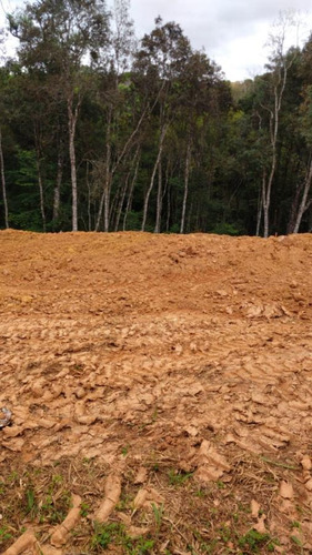 Imagem 11 de 15 de Terreno Em Condomínio Para Venda Em Curitiba, Santa Cândida - 338_2-1090136
