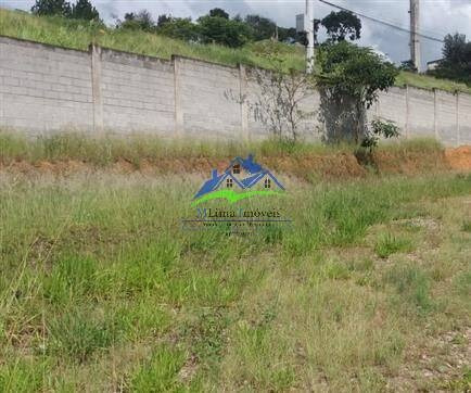 Imagem 10 de 15 de Galpão Industrial Em Terra Preta / Mairiporã - 551