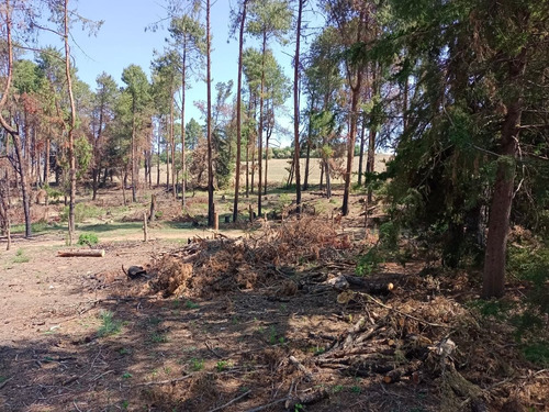 Terreno Kilómetro 47