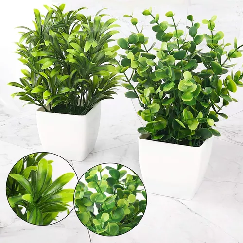 Abaodam 2 Piezas Maceta De Plantas Decorativas Falsas Decoracion Hogar  Plantas En Macetas Artificiales Bonsái De Interior Green Decor Oficina  Estilo Europeo Plantas Verdes Falsas : : Hogar y Cocina