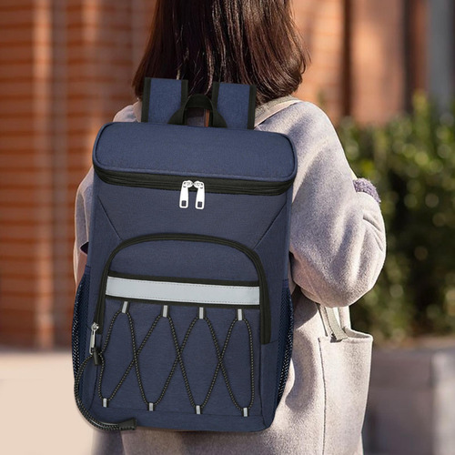 Bolsa Más Fresca Aislada De La Comida De La Mochila Del