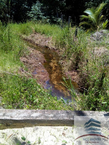 Imagem 21 de 26 de Granja A Venda Em Touros