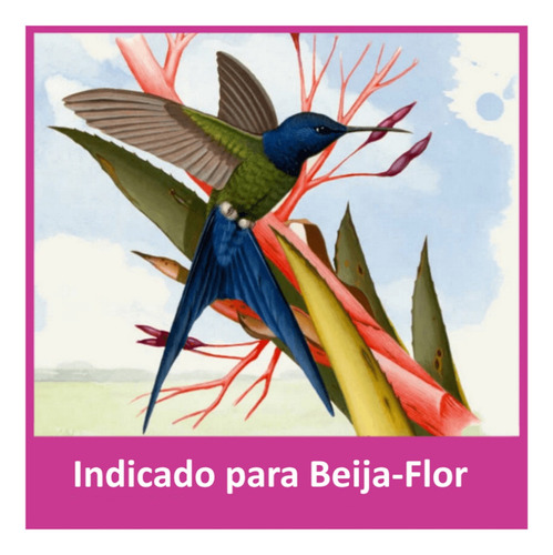 Kit 3 Ração Alcon Club Beija Flor Néctar 600g