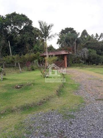 Chácara Com 24.000m² Com Tanques De Pesca, Casa Sede, Excelente Estrutura Na Cidade De Pilar Do Sul-sp - Ch0060