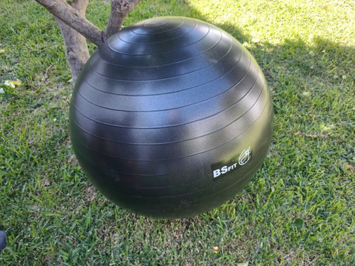 Imagen 4 de 8 de Pelota Esferodinamia De 65 Cm Fit Gym Ball Pilates Yoga Esfera