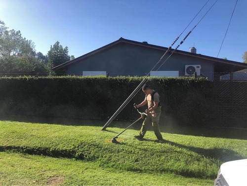 Imagen 5 de 5 de Poda Limpieza De Terreno Extracion De Árbol Retiro De Ramas