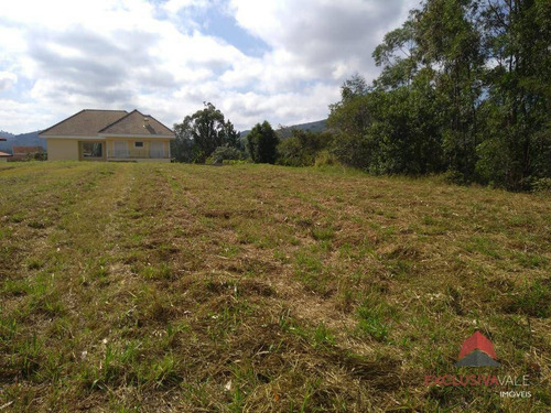 Imagem 6 de 10 de Terreno À Venda, 12000 M² Por R$ 478.000 - Tapanhão - Jambeiro/sp - Te0870