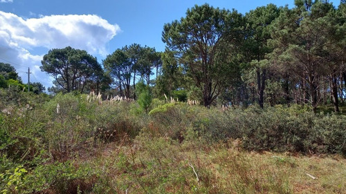 Imagen 3 de 17 de Lote En Venta En La Barra (ref: Atm-6651)