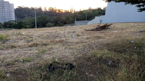 Imagem 10 de 10 de Terreno À Venda Em Jardim Ibirapuera - Te034127