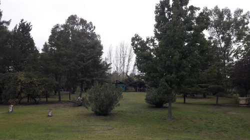 Venta De Complejo De Cabañas En Dique El Carrizal, Mendoza.