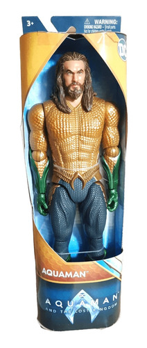 Figura Aquaman And The Lost Kingdom Spin Master