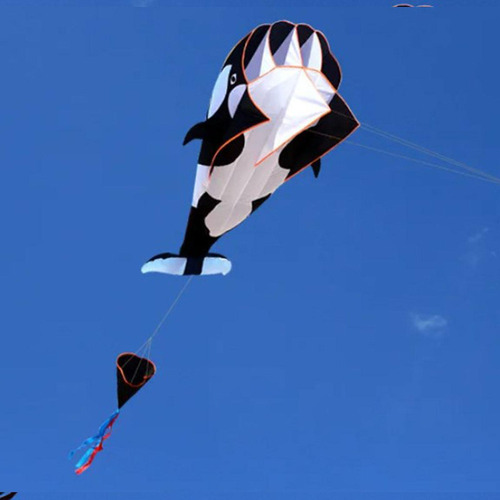Cometa De Delfines 3d, Cometas De Playa Gigantes Con