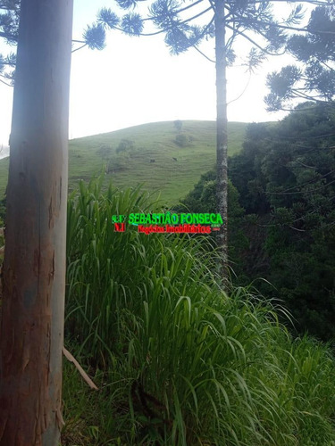 Imagem 5 de 15 de Belo Sítio Em Marmelópolis - Mg - 1247