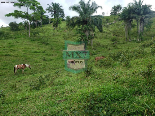 Imagem 14 de 15 de Fazenda Para Venda Em Ubaitaba, Zona Rural - 678_1-1569332