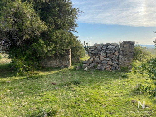 Campo En José Ignacio