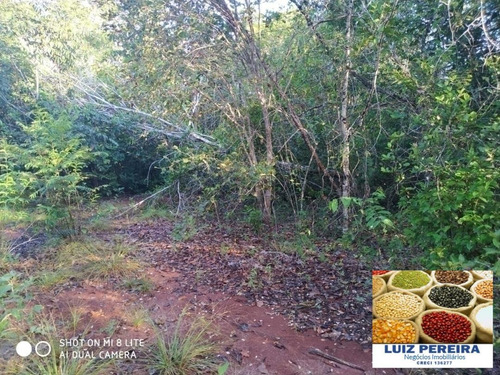Imagem 9 de 15 de Fazenda Em Divinópolis - To - 136 Alqueirões (pecuária) - 1382