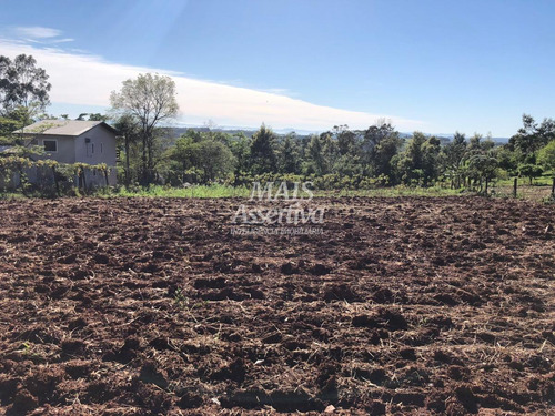 Imagem 2 de 8 de Chácara Para Venda Em Novo Hamburgo, Lomba Grande - 181821-cw_2-1344879