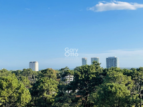 Imagen 7 de 28 de Apartamento De 3 Dormitorios En Roosevelt