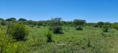 ¡potencial Agrícola Ilimitado! Finca Con Riego Y Acceso A Telefonía Móvil