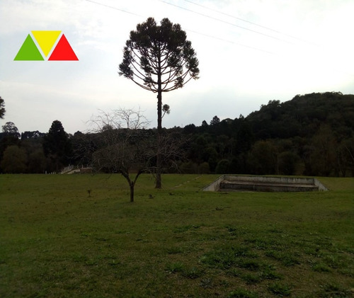 Imagem 12 de 28 de Chacara - Ch00145 - 69489936