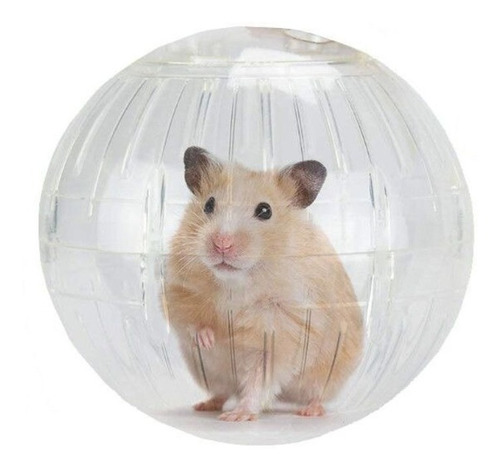 Esfera De Hamster Pequeña 14,5 Cms Transparente