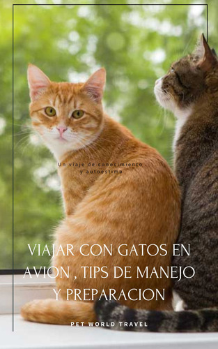 Guia Para Viajar Con Gatos En Avion : Pet World Travel